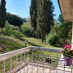 B&B Il Torchio-Urbino